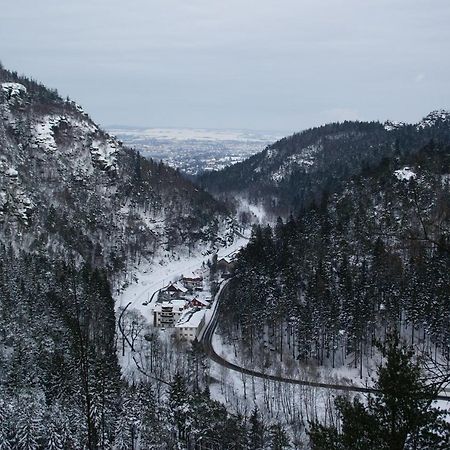 Wohlfuehlzeit Im Zittauer Gebirge Daire Dış mekan fotoğraf